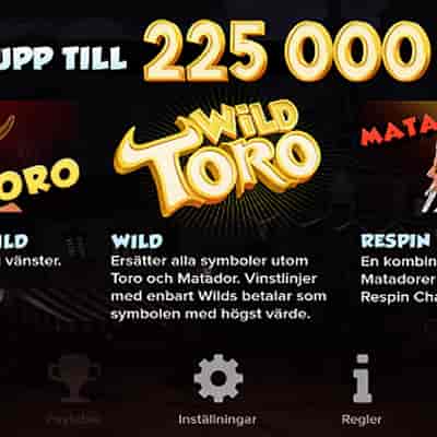 Wild Toro slots