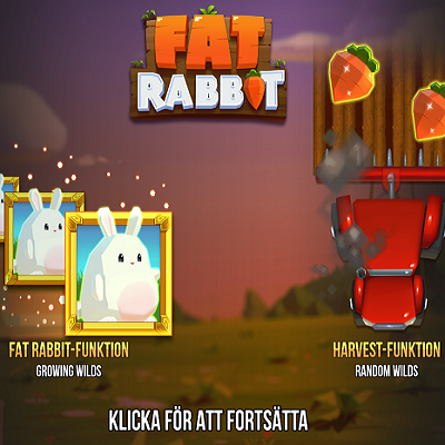 Fat Rabbit