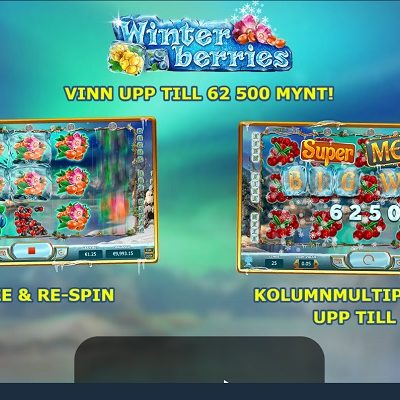 Winter Berries Slots