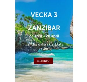 Vinn resa till Zanzibar på Betsafe!