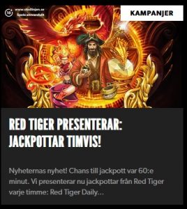 Timvisa jackpottar på Rizk Casino!